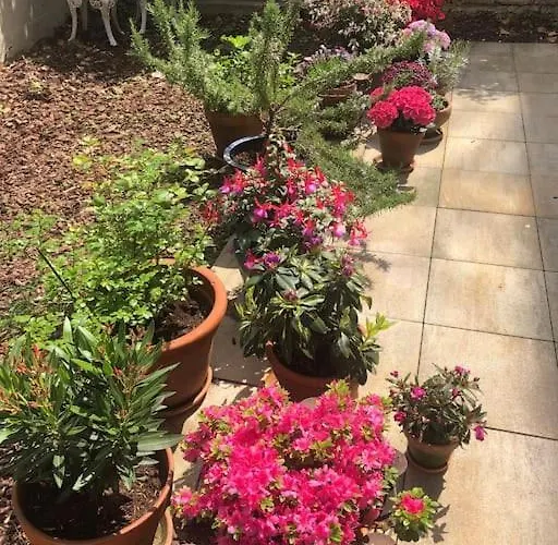 Gartenwohnung In Haidhausen Διαμέρισμα *