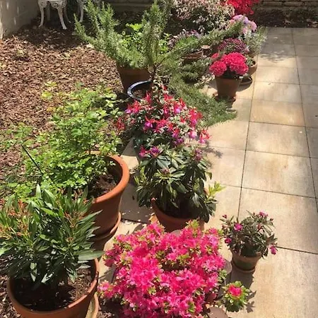 Gartenwohnung In Haidhausen Appartamento *